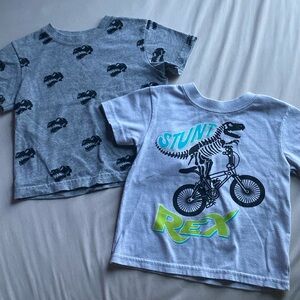 Garanimals Dinosaur Graphic T-Shirt Set